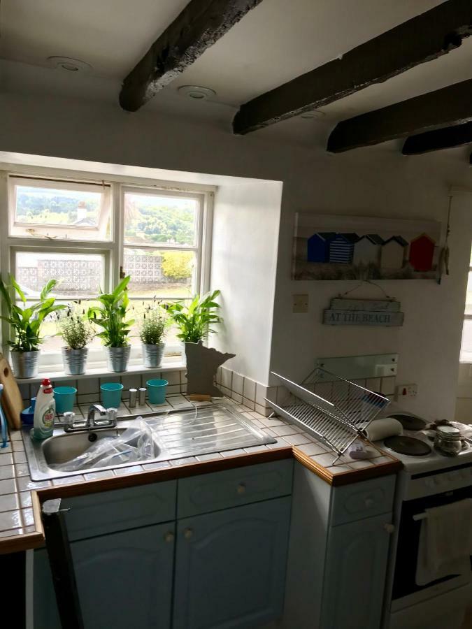 Cobb Cottage Bovey Tracey Kültér fotó
